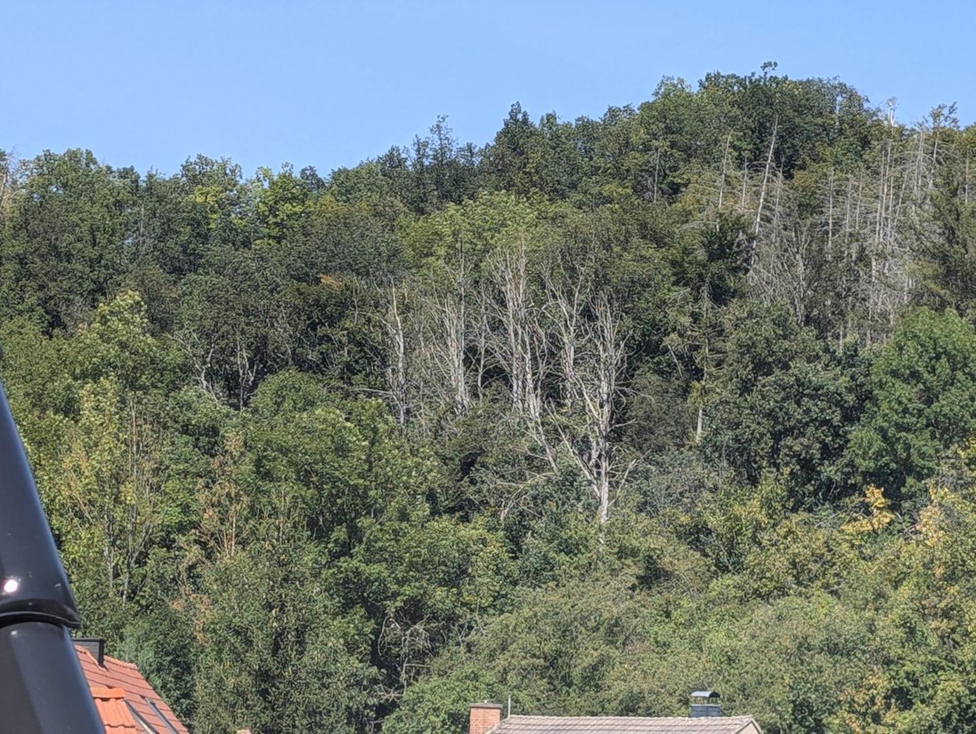 Ferienwohnung Mit Ausblick In Wimmelburg Exterior photo